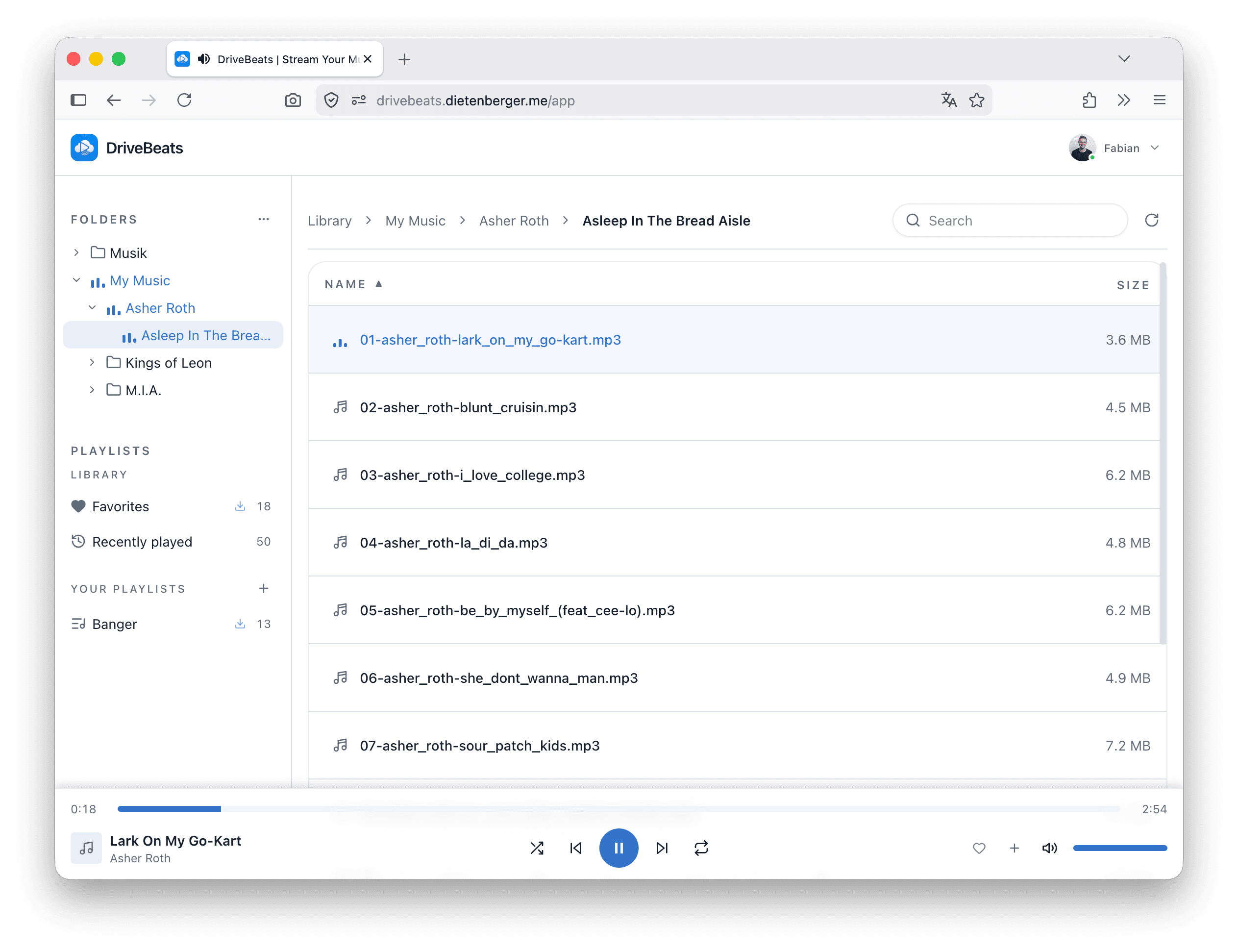Browsing an imported album folder in DriveBeats showing track filenames and sizes